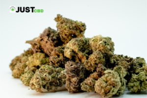 Read more about the article A Blue Biscotti Strain Review & Information by JUST CBD LIFE