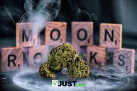 smoke moon rocks